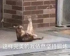 新洲天气 | 我晴了,我装的