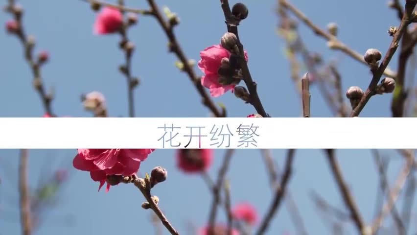 温度记 | 干燥天气持续,皮肤“缺水”怎么办?