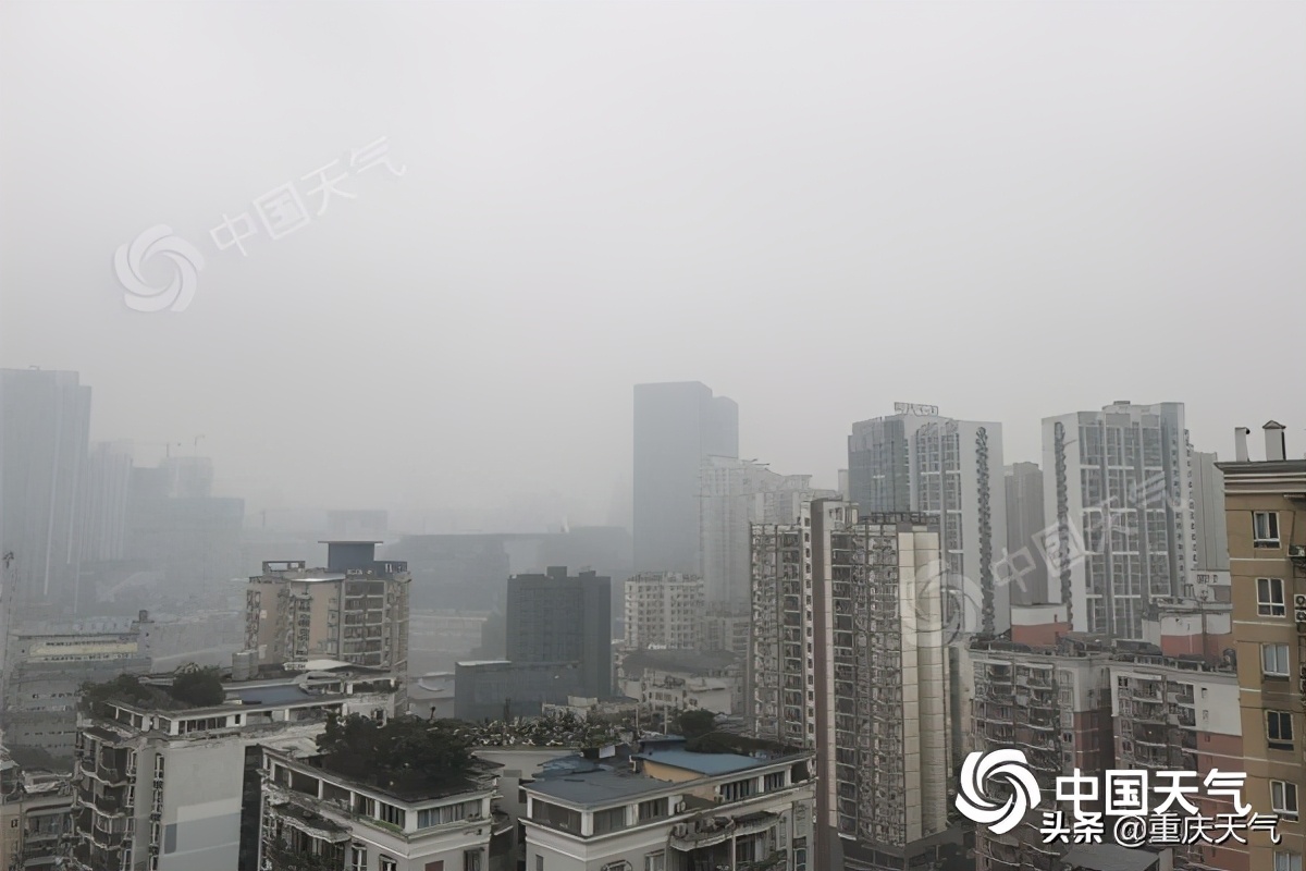 今晨重庆多地出现大雾天气　未来两天各地少雨