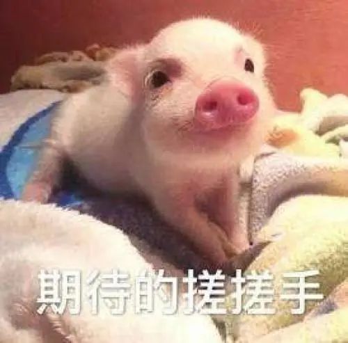 春天有消息了!义乌本周天气还是熟悉的套路:雨水+降温