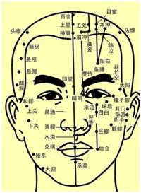 不同部位痘痘和内脏有关?