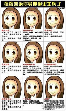 不同部位痘痘和内脏有关?