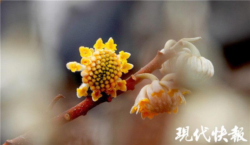“立春”天气晴暖,但阳光不会“打卡”太久