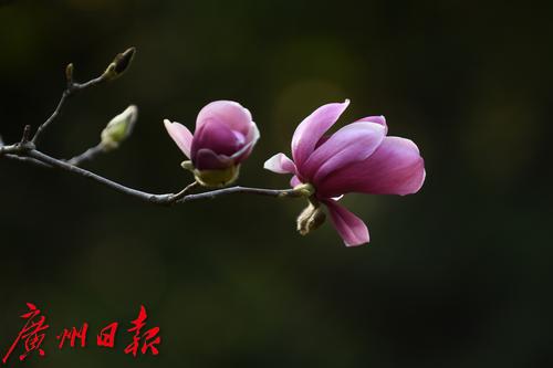 立春宛如立夏,过年会有好天气哟