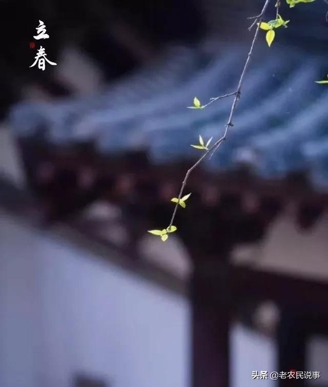 今日立春,三句老祖宗传下来的俗语,可推测天气及来年收成好坏