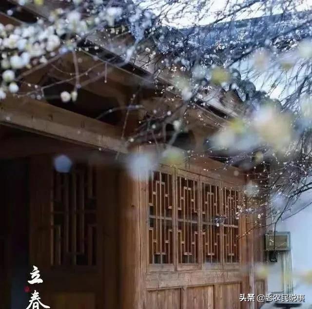 今日立春,三句老祖宗传下来的俗语,可推测天气及来年收成好坏