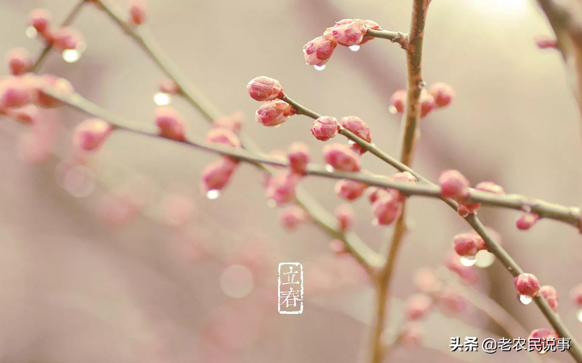 今日立春,三句老祖宗传下来的俗语,可推测天气及来年收成好坏