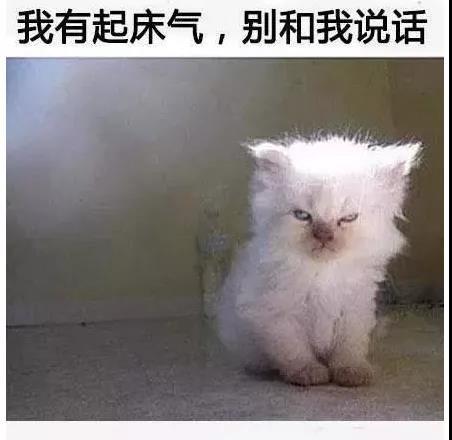 睡眠的冷知识，你知道几个？