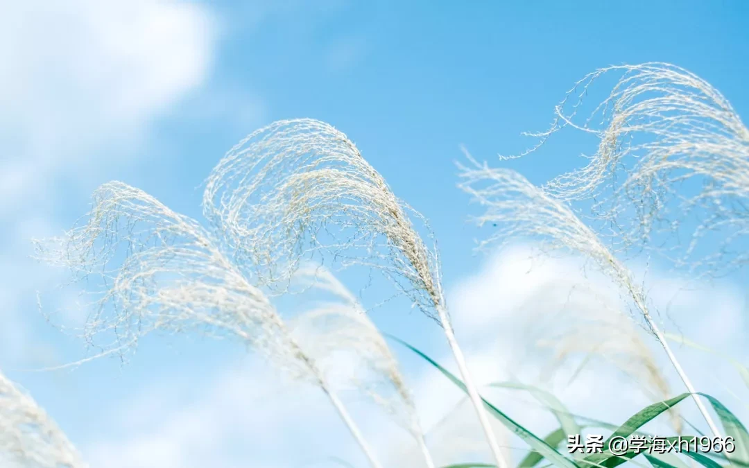 什么是文化,这是我听过最好的答案