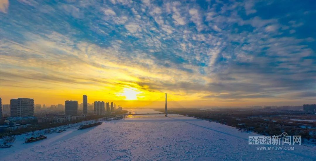 5日升温幅度达7℃左右,哈市天气“暖融融”