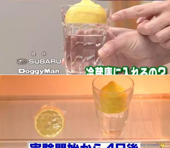 100条民间接地气生活小妙招,便宜好用到迎风流泪