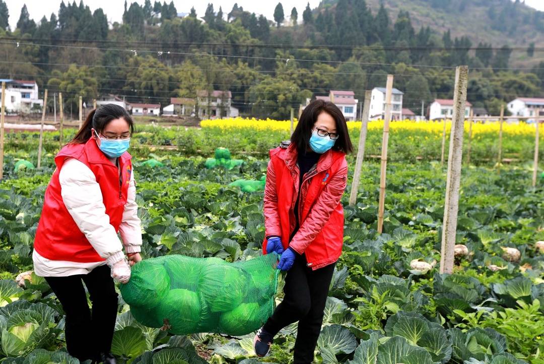 四川达州市政协委员孙琳建议:在实施乡村振兴战略中重视文化振兴