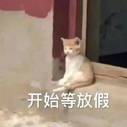 青岛气温直逼20℃!明天就降温!春节天气出炉