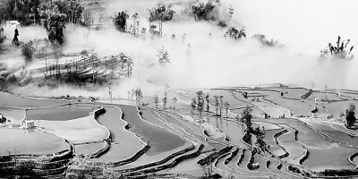 植根土地的文化追寻——农业文化遗产的永续价值与保护实践