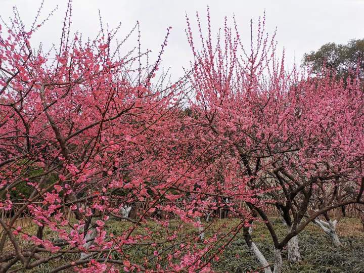 下不下雨有准信了 今天到初四的天气请收好