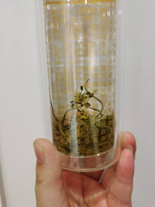 喝水要注意4点,才叫健康喝水,对身体更好