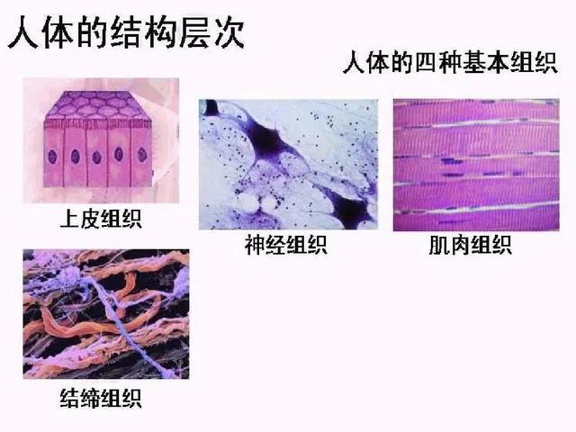 只有吃对了,才能少生病,怎么样吃才健康?