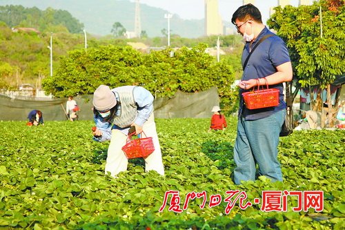 厦门天气预报：今明天气晴好宜出游 明晚降温要添衣