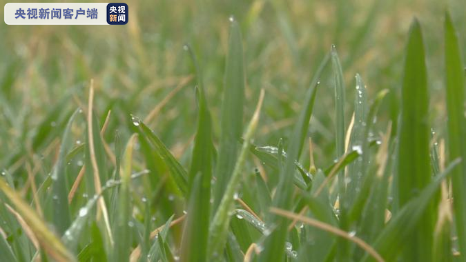 山东多地迎来雨雪天气,降温幅度达8~10℃