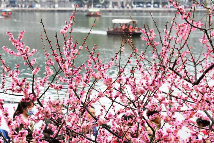 天气|两股冷空气打压,最低温又朝冰点而去,不过……