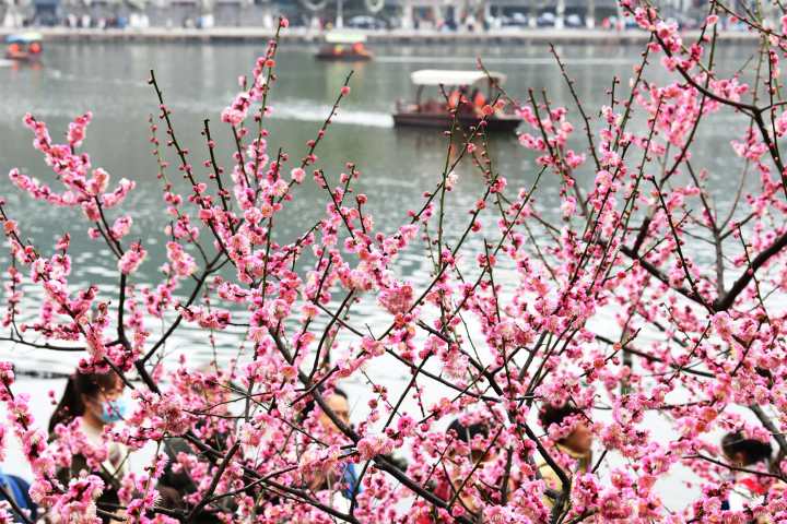 天气｜两股冷空气打压，最低温又朝冰点而去，不过……