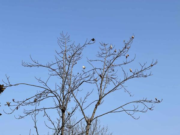 假期最后一天天气晴冷、空气优良 上班之后我省气温进入“快车道”