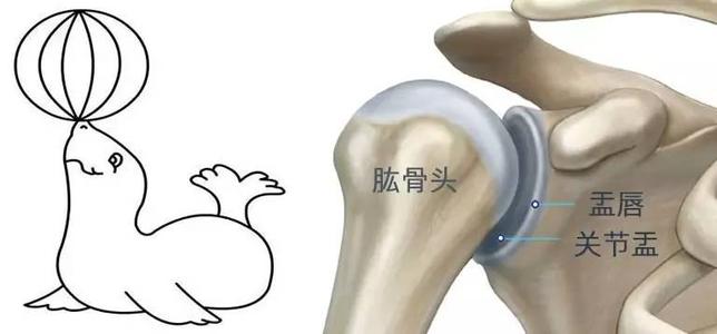 得了肩周炎,胳膊疼的抬不起来,如何正确的锻炼?医生告诉你
