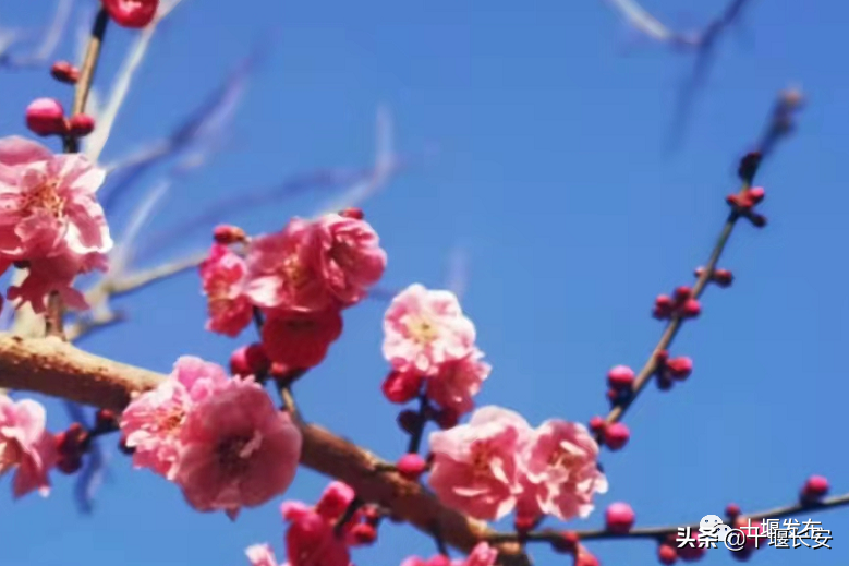 大降温+雨雨雨、雨夹雪...下周十堰天气大反转