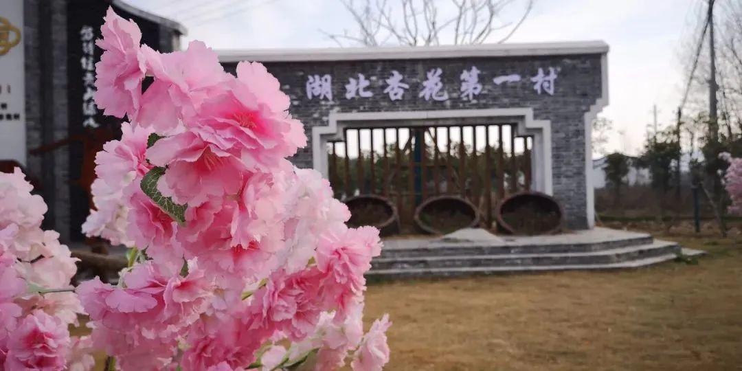 倒春寒?会下雪?襄阳下周的天气……
