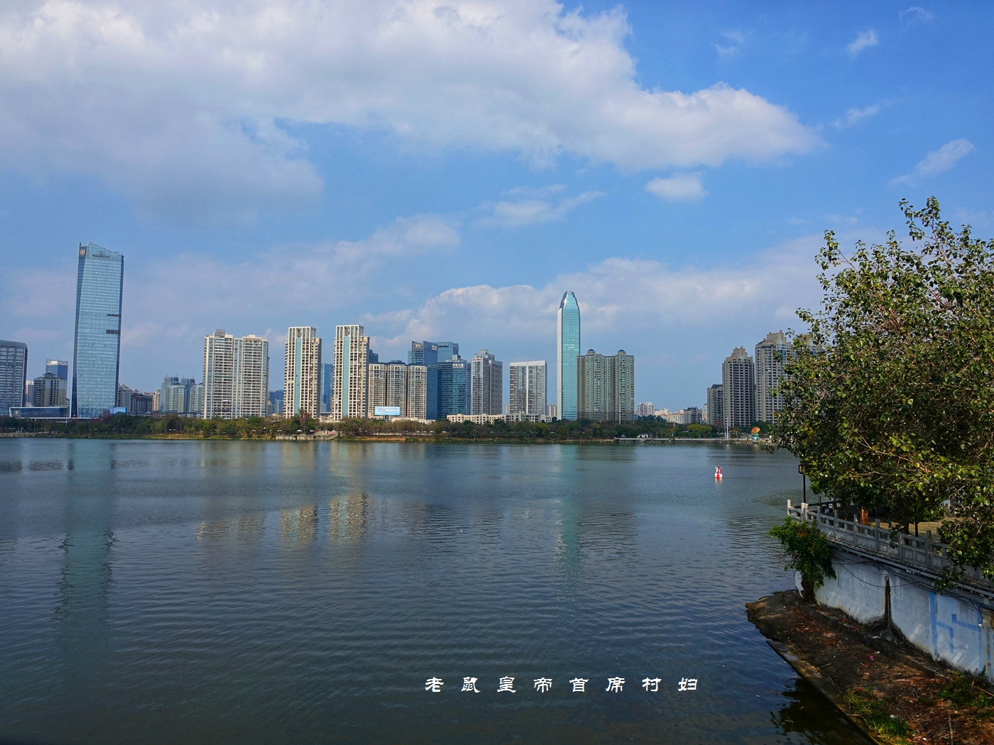 惠州西湖天下秀,水东老街春节人山人海,这广式年味太浓了