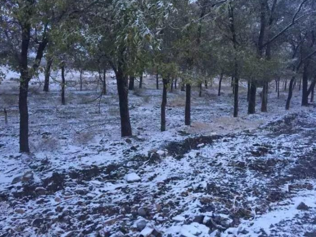 河南短期天气预报：全省大部分地区有雨，局部或有中雪