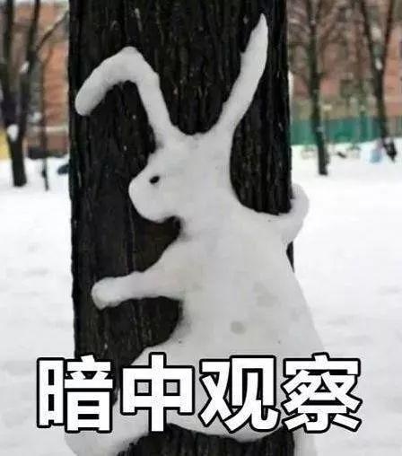 中雨转雨夹雪,今天傍晚到!淄博已发布重要天气预报