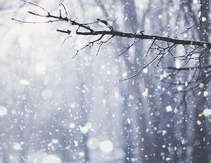 最高温9℃！春天来了？长春未来几天天气一言难尽……