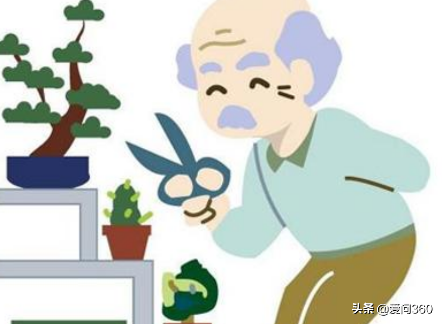 中老年人补钙是关键，不要听信传言，这些科学补钙方法才无忧