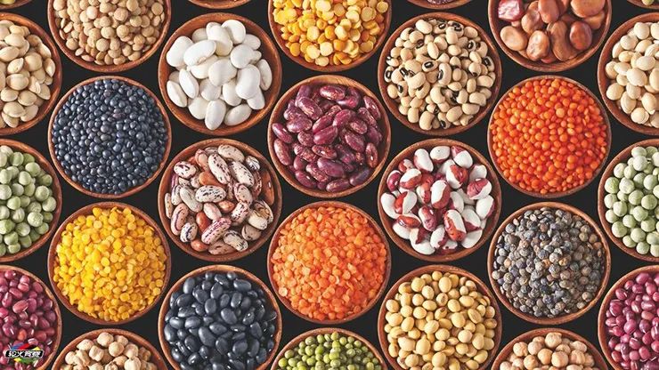 抗氧化营养物含量最高的9类食物
