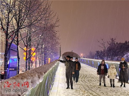 雨→冰粒→雨夹雪→湿雪→纯雪，洛阳遭遇“魔幻天气”