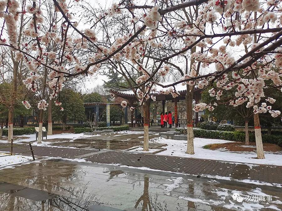 昨晚,汝州惊现“雷打雪”天气,原因竟是?