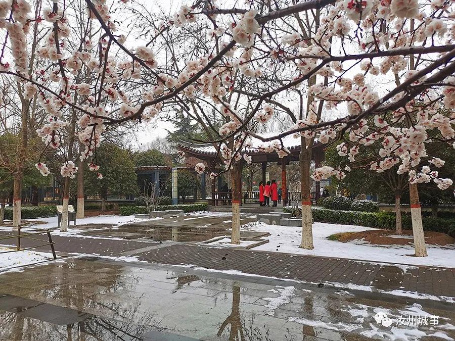 昨晚，汝州惊现“雷打雪”天气，原因竟是？