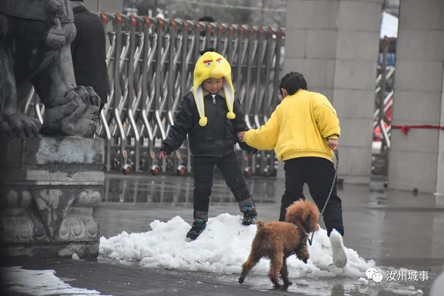 昨晚，汝州惊现“雷打雪”天气，原因竟是？