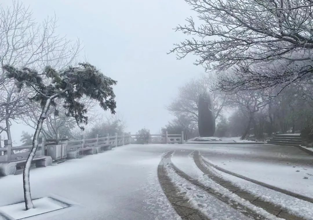 又下雪啦！下周天气一言难尽