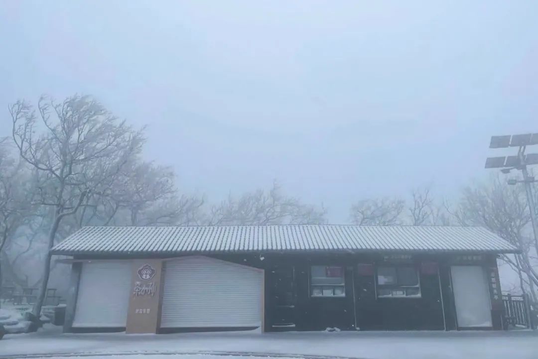 又下雪啦！下周天气一言难尽