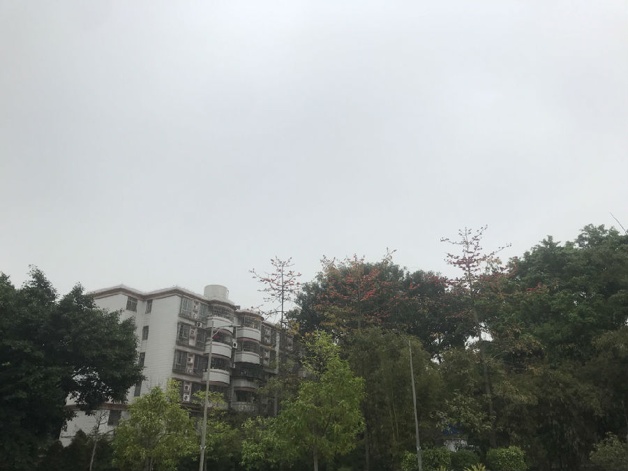 今天广东大部转雨 各地气温自北向南下降