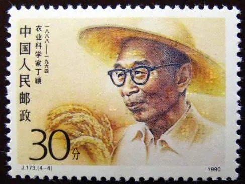 如何正确理解文化自信,避免新文化阿Q?| 汪涛