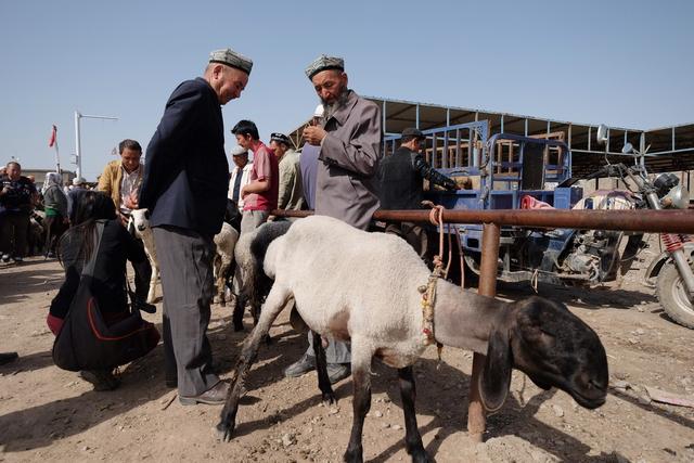 新疆农村集市之旅，眼见为实最稀缺的“刀郎羊”，一只高达两千万