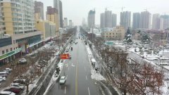 蒙阴县迎来降雪天气