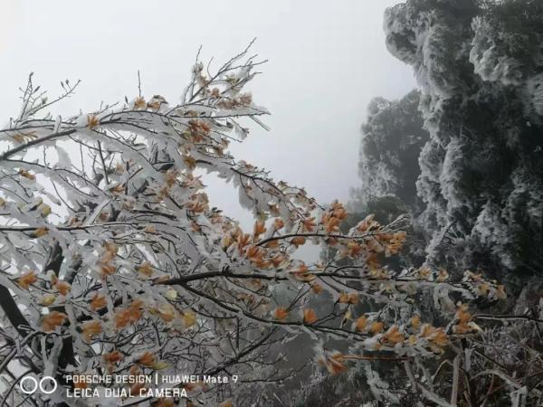 冷空气“大礼包”送到！降温雨雪天气将继续！