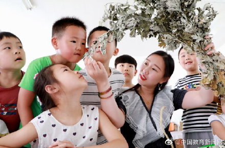 以系统思维构建幼儿园文化
