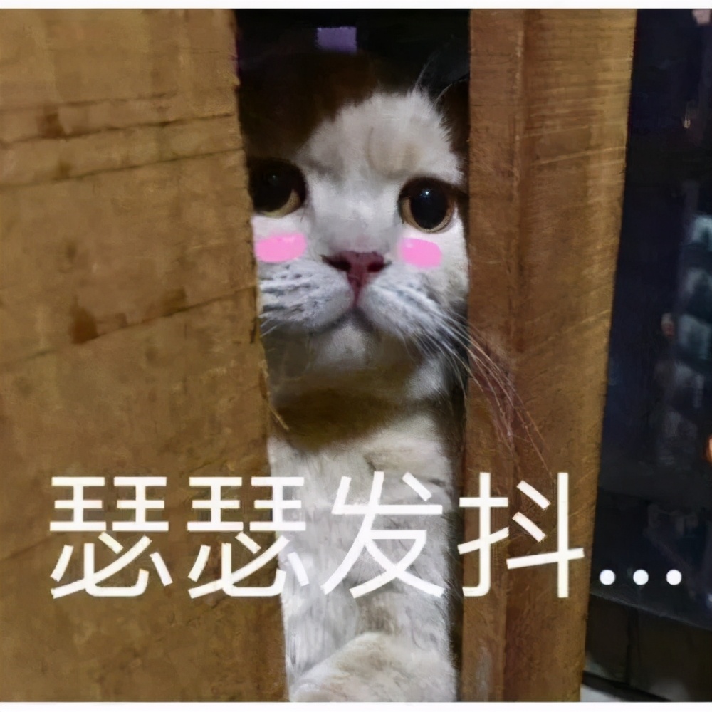 大范围雨雪天气继续!大风上线!今天局地降幅可达10℃
