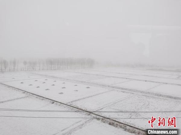 宁夏迎大范围降水天气 居民化身“风雪赶路人”