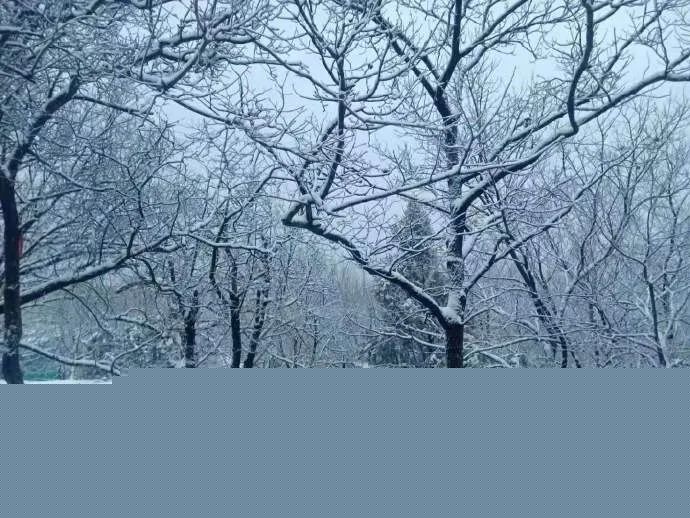 一周天气 | 小雪抵京,周二过后气温快速上升 周五迎惊蛰